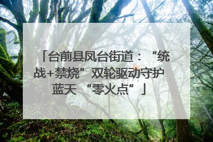 台前县凤台街道：“统战+禁烧”双轮驱动守护蓝天 “零火点”