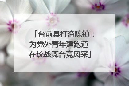 台前县打渔陈镇：为党外青年建跑道 在统战舞台竞风采