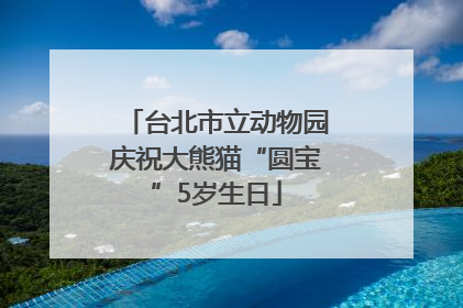 台北市立动物园庆祝大熊猫“圆宝”5岁生日