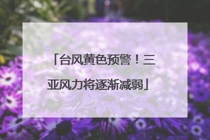 台风黄色预警！三亚风力将逐渐减弱