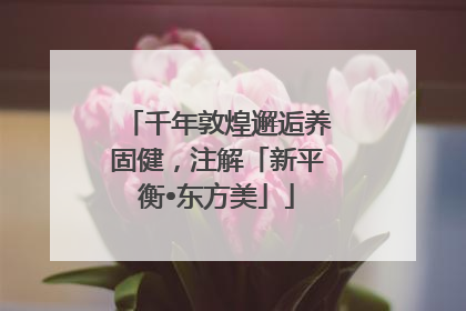 千年敦煌邂逅养固健，注解「新平衡•东方美」