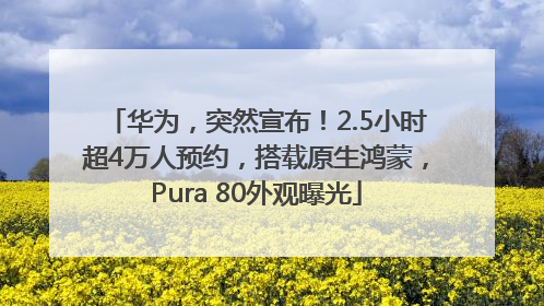 华为，突然宣布！2.5小时超4万人预约，搭载原生鸿蒙，Pura 80外观曝光