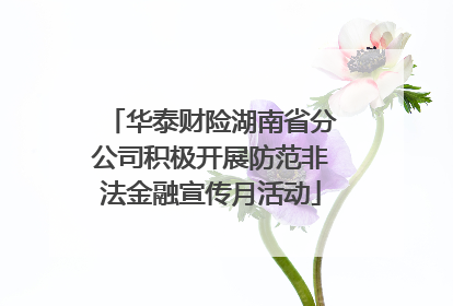 华泰财险湖南省分公司积极开展防范非法金融宣传月活动