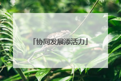 协同发展添活力