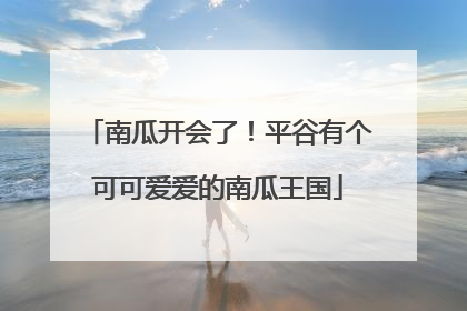 南瓜开会了！平谷有个可可爱爱的南瓜王国