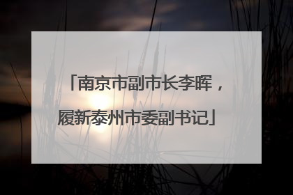 南京市副市长李晖，履新泰州市委副书记