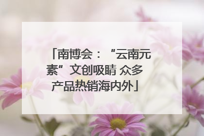 南博会：“云南元素”文创吸睛 众多产品热销海内外