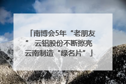 南博会5年“老朋友” 云铝股份不断擦亮云南制造“绿名片”