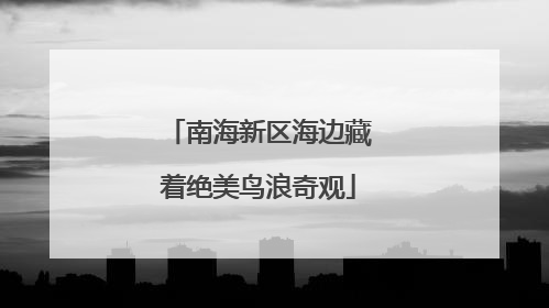 南海新区海边藏着绝美鸟浪奇观