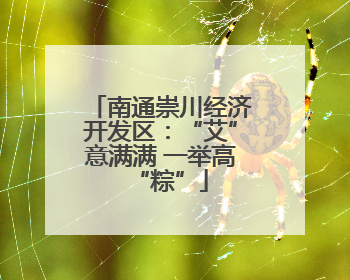 南通崇川经济开发区：“艾”意满满 一举高“粽”