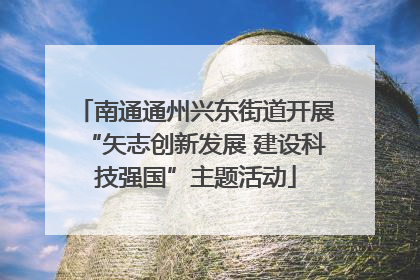 南通通州兴东街道开展“矢志创新发展 建设科技强国”主题活动