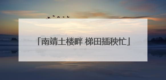 南靖土楼畔 梯田插秧忙