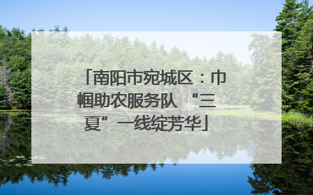 南阳市宛城区：巾帼助农服务队 “三夏”一线绽芳华