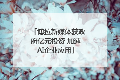博拉新媒体获政府亿元投资 加速AI企业应用