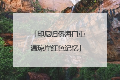 印尼归侨海口重温琼崖红色记忆