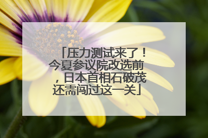 压力测试来了！今夏参议院改选前，日本首相石破茂还需闯过这一关