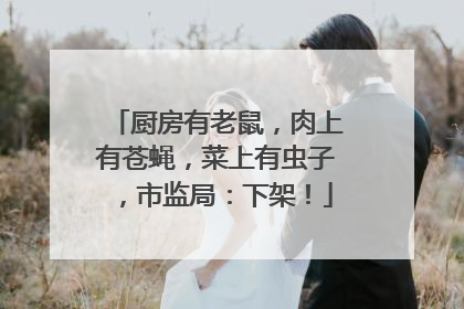厨房有老鼠，肉上有苍蝇，菜上有虫子，市监局：下架！