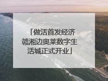 做活首发经济 赣湘边奥莱数字生活城正式开业