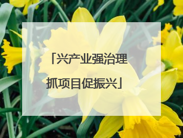 兴产业强治理 抓项目促振兴