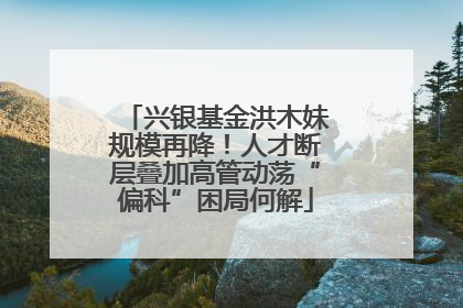 兴银基金洪木妹规模再降！人才断层叠加高管动荡“偏科”困局何解