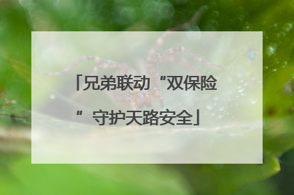 兄弟联动“双保险”守护天路安全