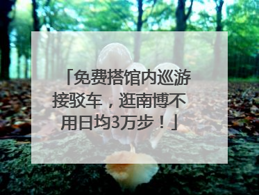 免费搭馆内巡游接驳车，逛南博不用日均3万步！