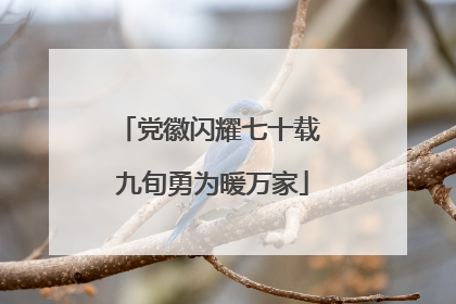 党徽闪耀七十载 九旬勇为暖万家