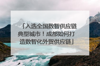 入选全国数智供应链典型城市！成都如何打造数智化外贸供应链