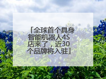 全球首个具身智能机器人4S店来了，近30个品牌将入驻