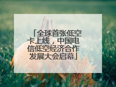 全球首张低空卡上线，中国电信低空经济合作发展大会启幕