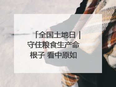 全国土地日｜守住粮食生产命根子 看中原如何“耕”新