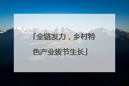 全链发力，乡村特色产业拔节生长