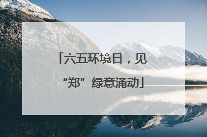 六五环境日，见“郑”绿意涌动