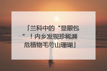 兰科中的“显眼包”！内乡发现珍稀濒危植物毛萼山珊瑚