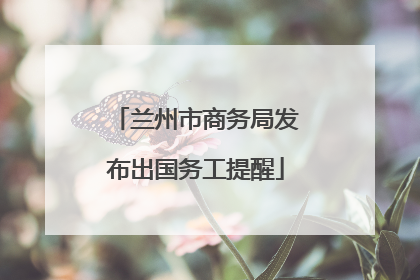 兰州市商务局发布出国务工提醒