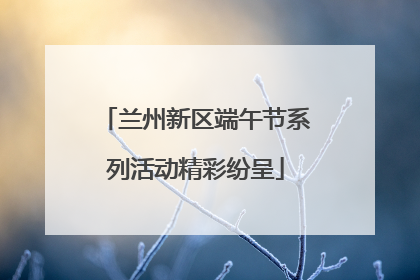 兰州新区端午节系列活动精彩纷呈
