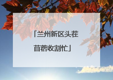 兰州新区头茬苜蓿收割忙