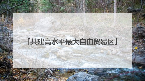 共建高水平最大自由贸易区