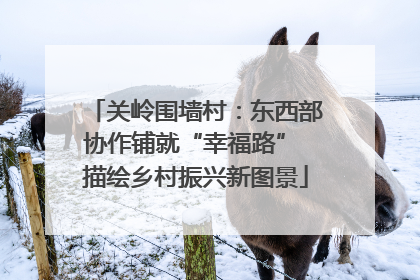 关岭围墙村：东西部协作铺就“幸福路” 描绘乡村振兴新图景