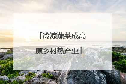 冷凉蔬菜成高原乡村热产业