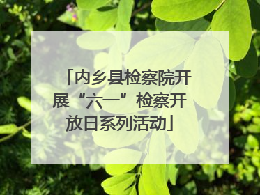 内乡县检察院开展“六一”检察开放日系列活动