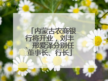 内蒙古农商银行将开业，刘丰、邢爱泽分别任董事长、行长