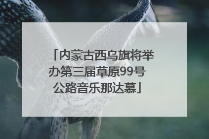 内蒙古西乌旗将举办第三届草原99号公路音乐那达慕