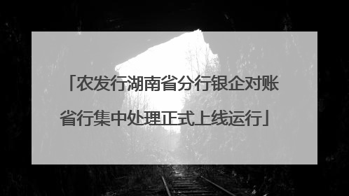 农发行湖南省分行银企对账省行集中处理正式上线运行