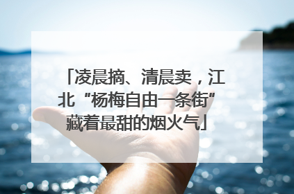 凌晨摘、清晨卖，江北“杨梅自由一条街”藏着最甜的烟火气