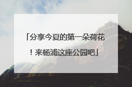 分享今夏的第一朵荷花！来杨浦这座公园吧