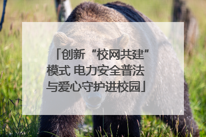 创新“校网共建”模式 电力安全普法与爱心守护进校园