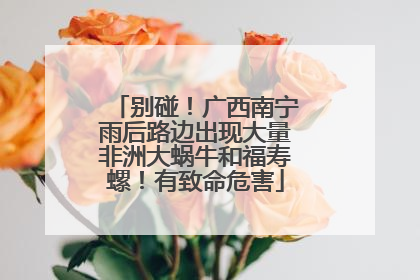 别碰！广西南宁雨后路边出现大量非洲大蜗牛和福寿螺！有致命危害