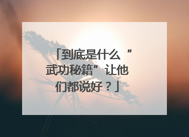 到底是什么“武功秘籍”让他们都说好？