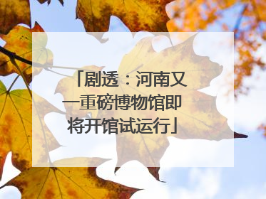 剧透：河南又一重磅博物馆即将开馆试运行